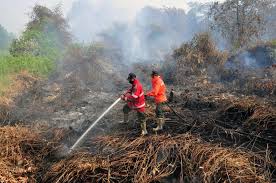 46 Hotspot Terdeteksi di Sumatera, 2 Ada di Riau