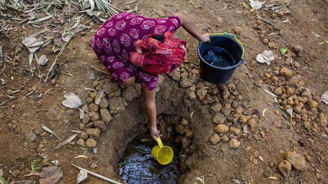 Pemerintah: 48 Juta Jiwa Terancam Kekeringan Akibat Kemarau