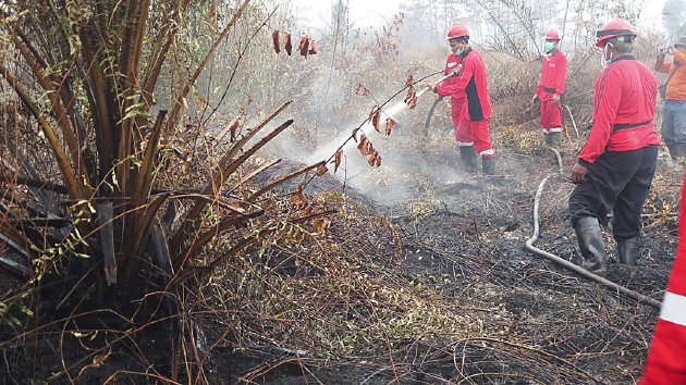 Riau Bersiap Menghadapi Musim Kemarau
