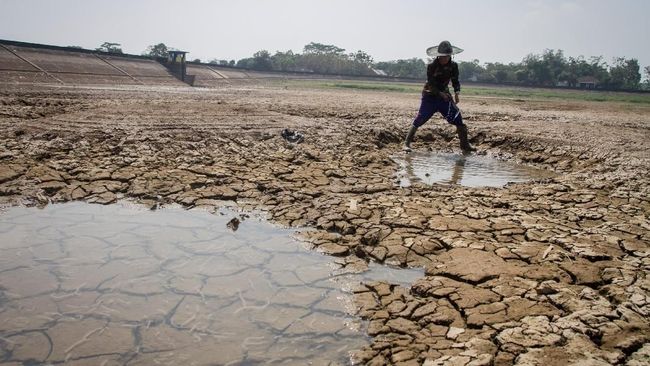2.347 Desa Dilanda Kekeringan, BNPB Siapkan Rekayasa Cuaca