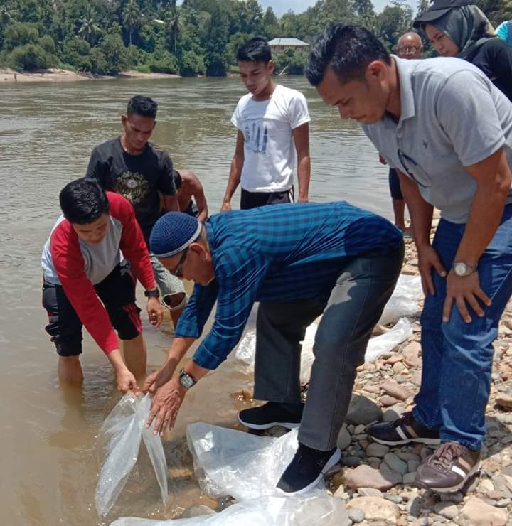 35 Ribu Benih Ikan Nilem Disebar di Hulu Sungai Kuantan