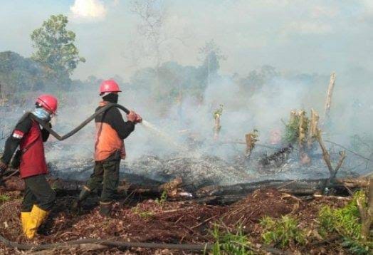 Meranti Tetapkan Status Siaga Darurat Karhutla, Bengkalis Dalam Proses