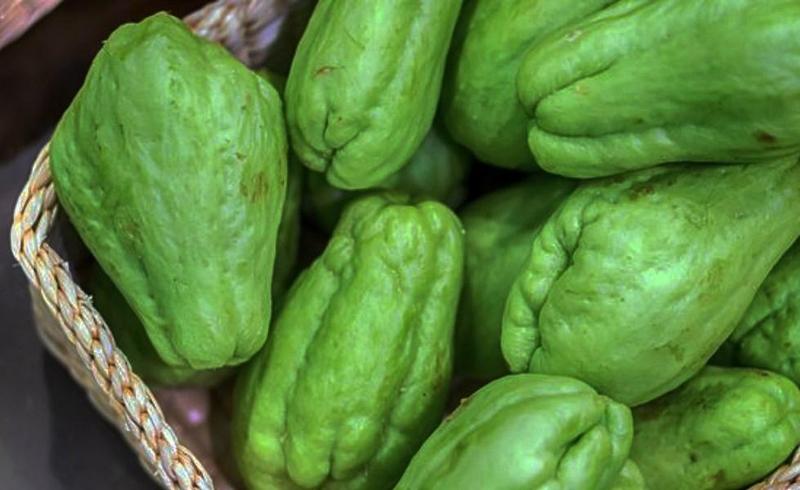 Manfaat Labu Siam Untuk Penderita Asam Urat