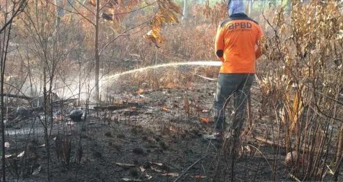 Kepulauan Meranti Nihil Karhutla untuk Sementara