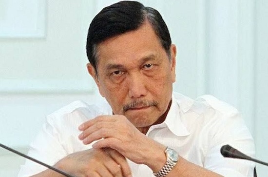 Menteri Luhut Binsar Panjaitan akan Panen Padi di Siak