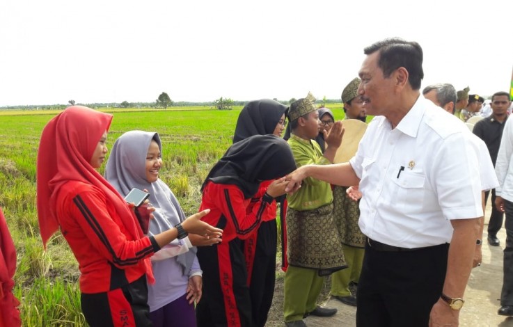 Menko Kemaritiman Panen Raya di Bungaraya, Siak