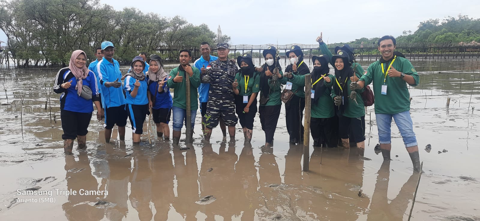 Peringati Hari Mangrove Sedunia, Warga dan Mahasiswa Tanam Mangrove 