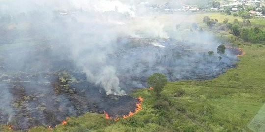 Sejak Awal Tahun 2021, Luas Lahan Terbakar di Riau Capai 901,57 Hektare 