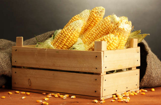 10 Manfaat Baik yang Dikandung Dari Sebiji Jagung