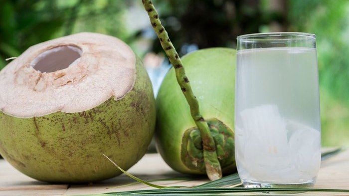 Rajin Minum Air kelapa Muda Bisa Turunkan Gula Darah