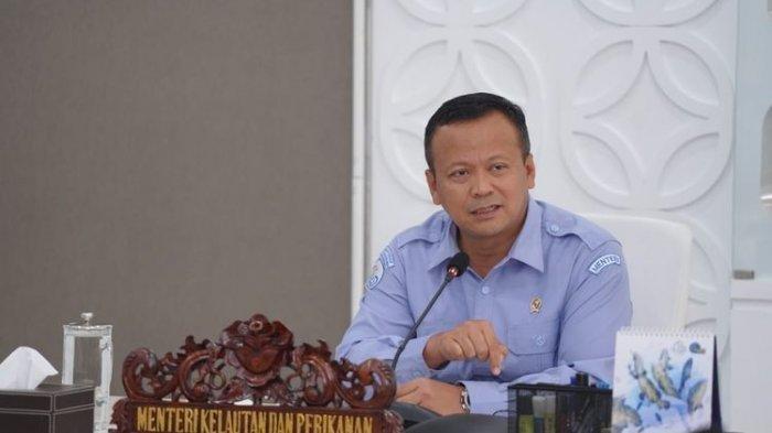  Diduga Korupsi Ekspor Benih Lobster, Menteri Kelautan Ditangkap KPK