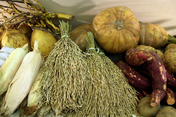 Perang Argumen Mentan dan Mendag soal Pangan di Tengah Corona