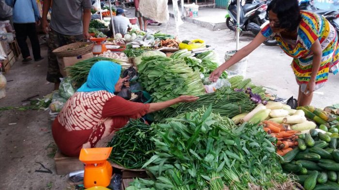 Harga Sayur Mahal, IRT Pekanbaru Banyak yang Mengeluh