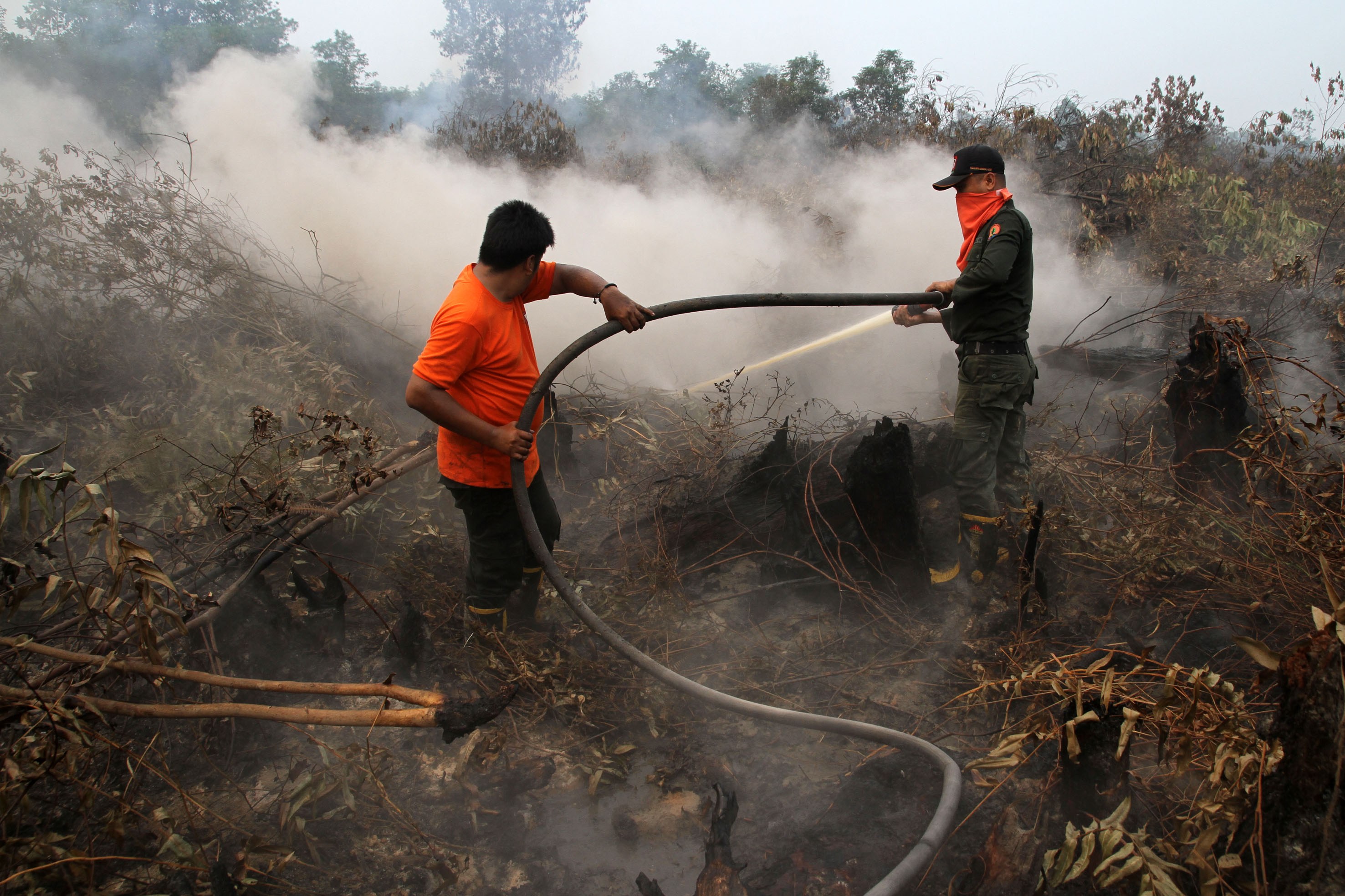 32 Titik Api Terpantau di Riau, di Siak Terbanyak