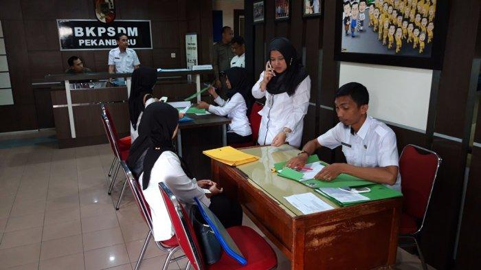 Satu Peserta CPNS Lulus di Pemkab Pelalawan Dinyatakan Gugur
