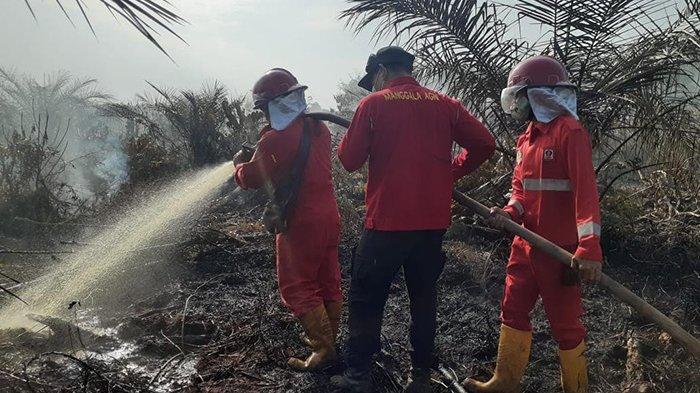 Kebakaran Lahan Kembali Terjadi di Sungai Ampit Siak 