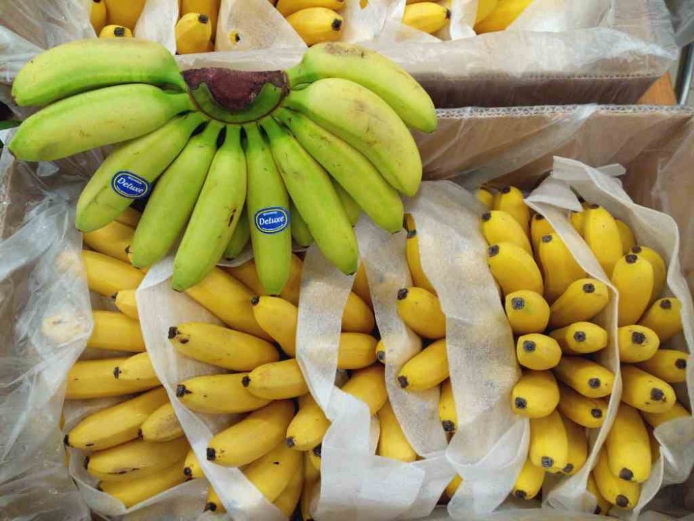 Banyak Konsumsi Pisang Ternyata Bisa Buat Masalah Kesehatan