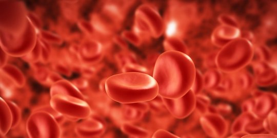 Plasma Darah Belum Bisa Dipastikan Mampu Sembuhkan Pasien Corona COVID-19