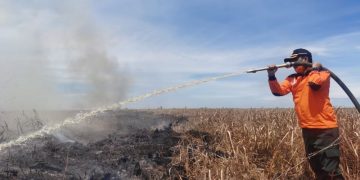 91,46 Hektar Lahan Terbakar, Wagubri Dorong Percepatan Status Siaga Karhutla