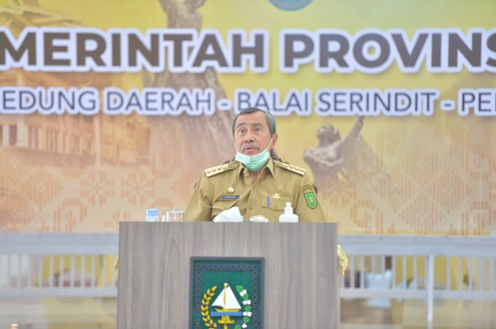 Total 248 Ha Lahan Terbakar di Riau sejak Awal Tahun 2021
