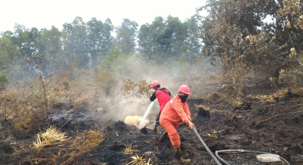 Sebanyak 91,46 Hektar Lahan Terbakar, BPBD Riau Dorong Percepatan Status Siaga