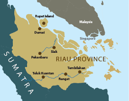 Riau luncurkan RIC sebagai peta potensi investasi