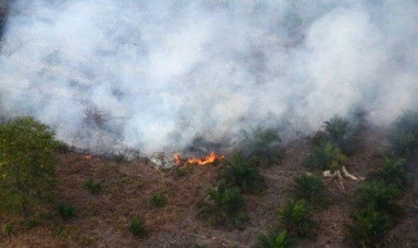 Hotspot Kembali Marak di Riau 