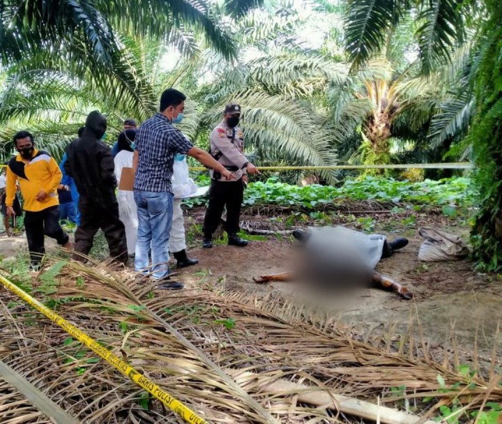 Sempat Hilang, Buruh Ditemukan Tewas Membusuk di Kebun Sawit Bengkalis 