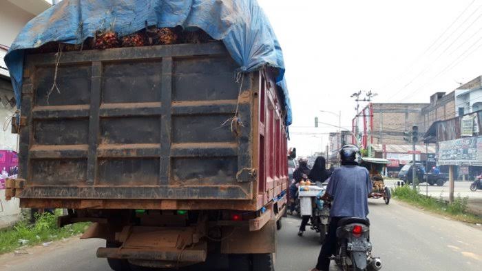 Wako Pekanbaru Geram Jalan Lintas Timur Pekanbaru HancurÂ  Akibat ODOL