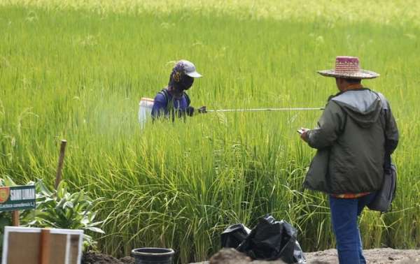 Pemko Pekanbaru Siap Sukseskan KTNA Nasional