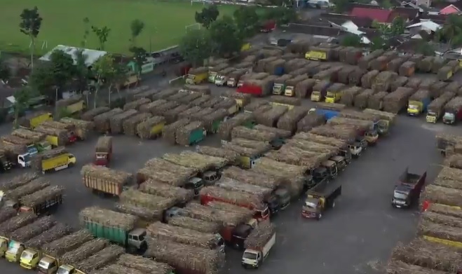 Kabar Baik Bagi Bos Sawit, Harga CPO Mulai Naik Lagi