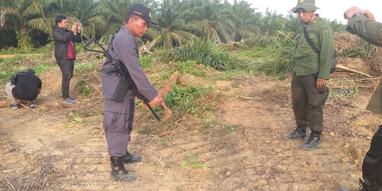 Sengketa Lahan di Pelalawan, Semua Pihak Diminta Jalankan Putusan MA