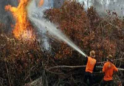 Karhutla Meluas, 54 Titik Panas Terdeteksi di Riau