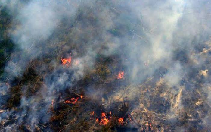 13 Hotspot Terdeteksi di Riau