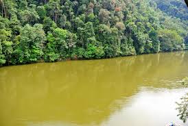 Sungai Kampar Meluap, Warga Mulai Mengungsi