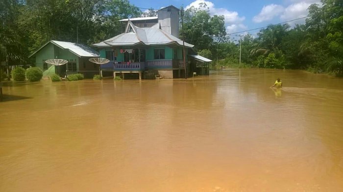 Air Sungai Nilo Desa Lubuk Kembang Pelalawan Mulai Surut