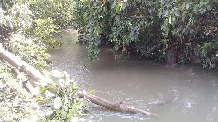 2 Kecamatan di Inhil Terendam Banjir