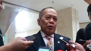 Waketum Demokrat soal Mega: Pandangan Andi Arief Pribadi