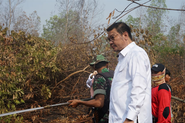 Kepala BRG Tunggu Keputusan Jokowi soal Pembubaran Lembaga