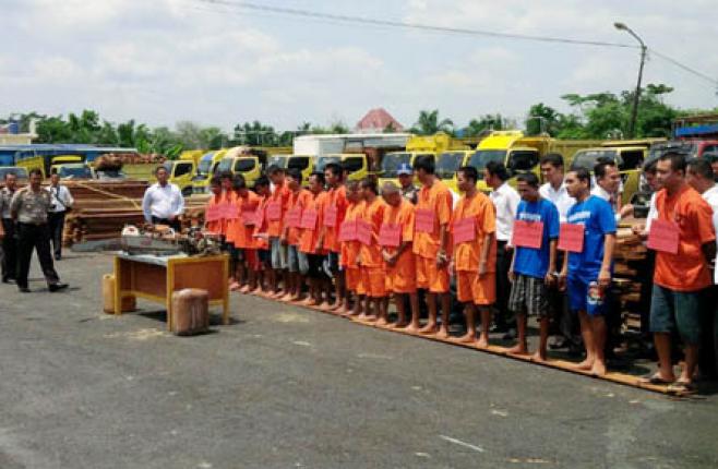 Polda Riau Tangkap 19 Tersangka Illegal Logging di Pelalawan
