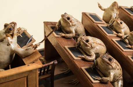 Uniknya Museum Kodok di Swiss