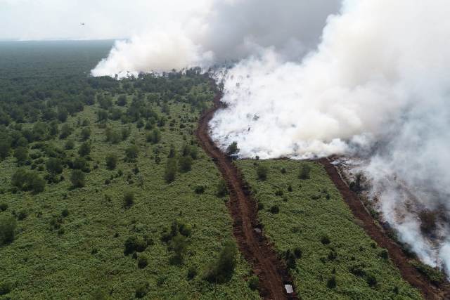Status Siaga, Terpantau 1.297 Titik Api di Sumsel 