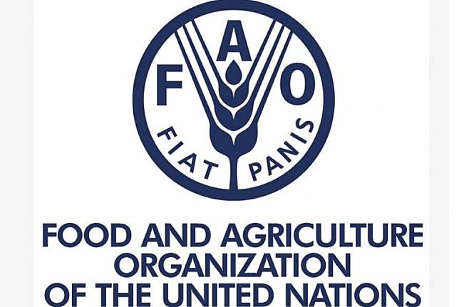 Indonesia Terpilih Jadi Anggota Dewan FAO Periode 2021-2024 