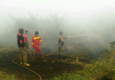 Dua Titik Api Masih Ada di Pelalawan, Petugas Terus Upayakan Pemadaman 
