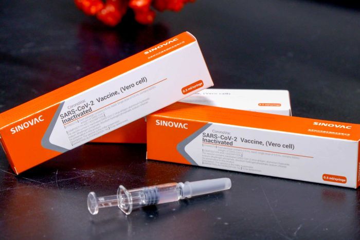 Harga Vaksin Corona Sinovac Diperkirakan Rp400 Ribu per Orang