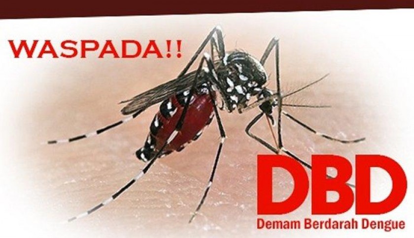 Di Tengah Pandemi Covid-19, 112 Warga Pekanbaru Terjangkit DBD
