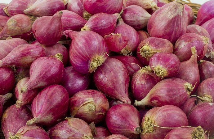 Penyeludupan 9 Ton bawang merah di Bengkalis, Kepulauan Riau