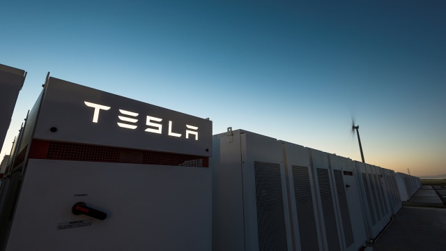 RI Bakal Jadi Raja Baterai Listrik, Luhut: Tesla Tertarik!